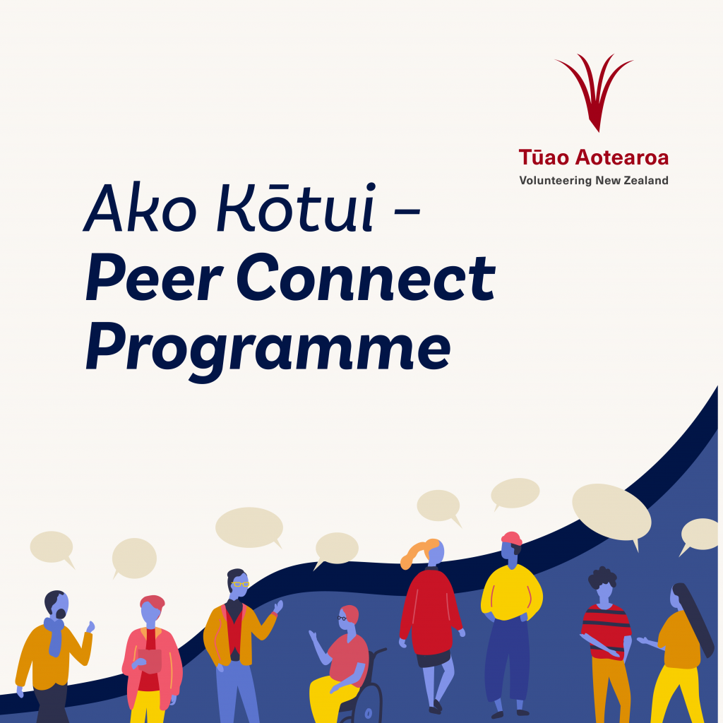 Peer Connect programme